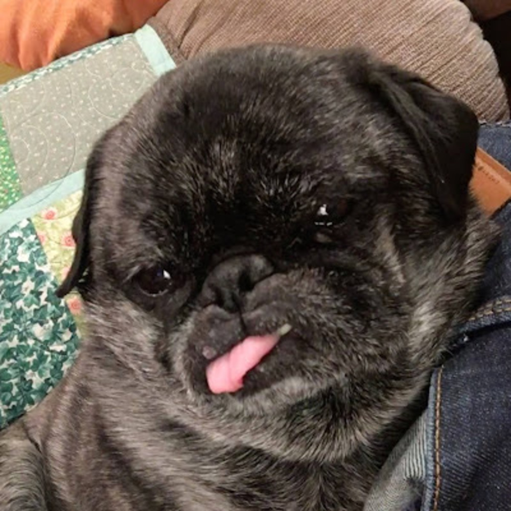 Meet your Posher, Keri